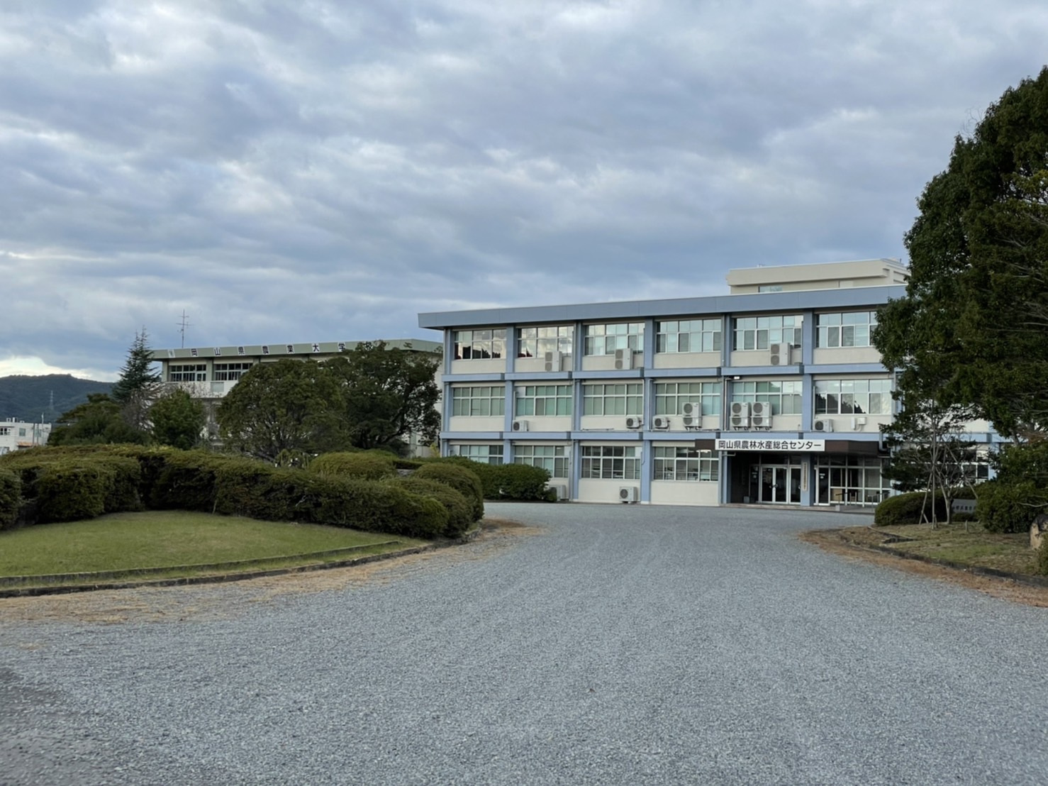 岡山県農林水産総合センター農業研究所農業試験場