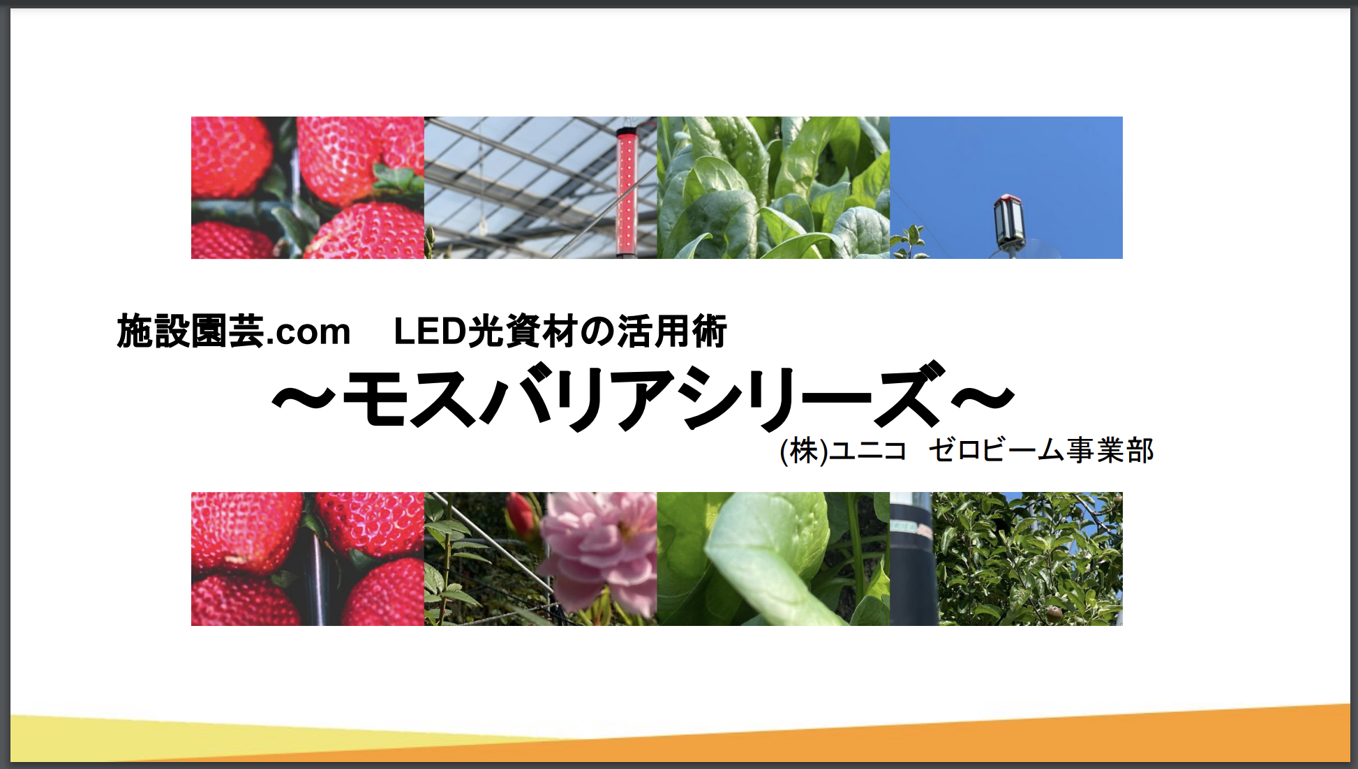 【メディア掲載】施設園芸.com開催「光資材オンラインセミナー」の動画がYouTubeに掲載されました！