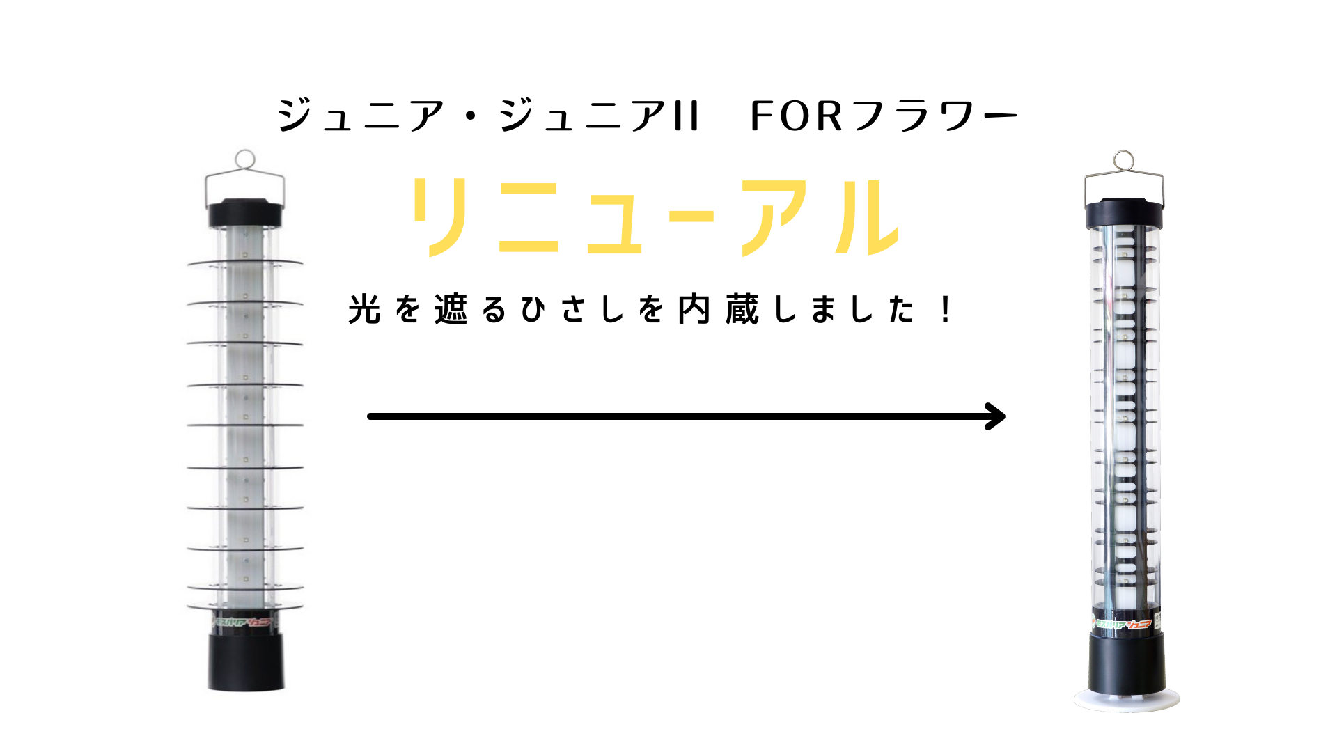 ジュニア・ジュニアII　FORフラワー　リニューアル