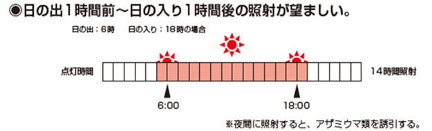 モスバリアジュニアⅡ　レッド　効果的な使用方法