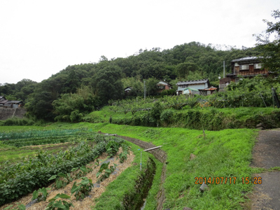 民家と納屋